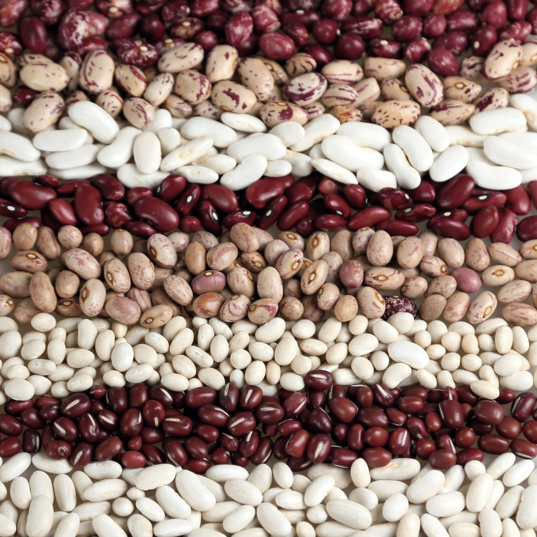 Close-up of raw dried beans