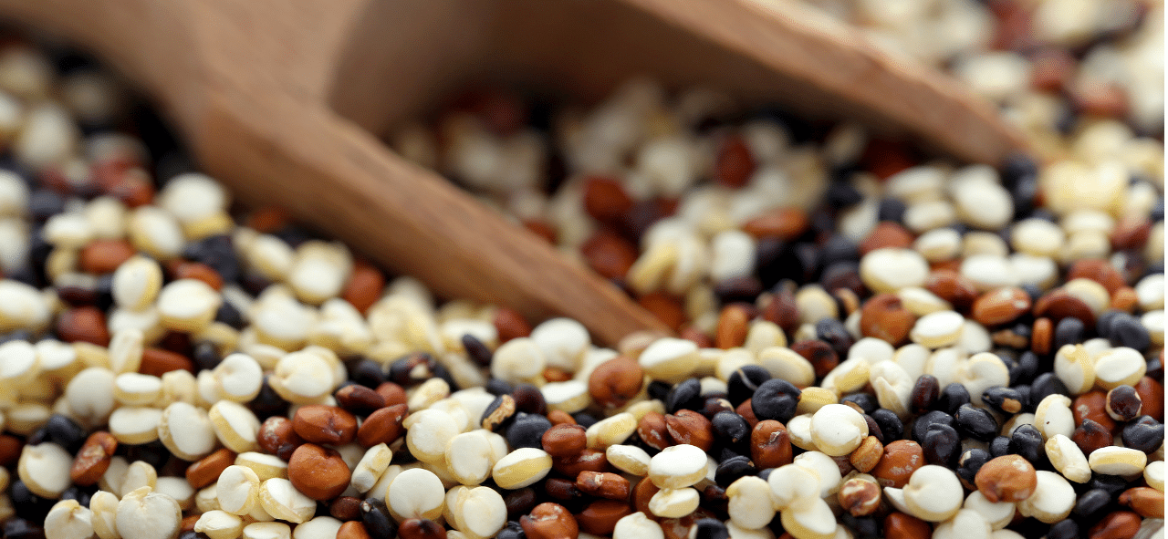 Close-up assortment of seeds and grains